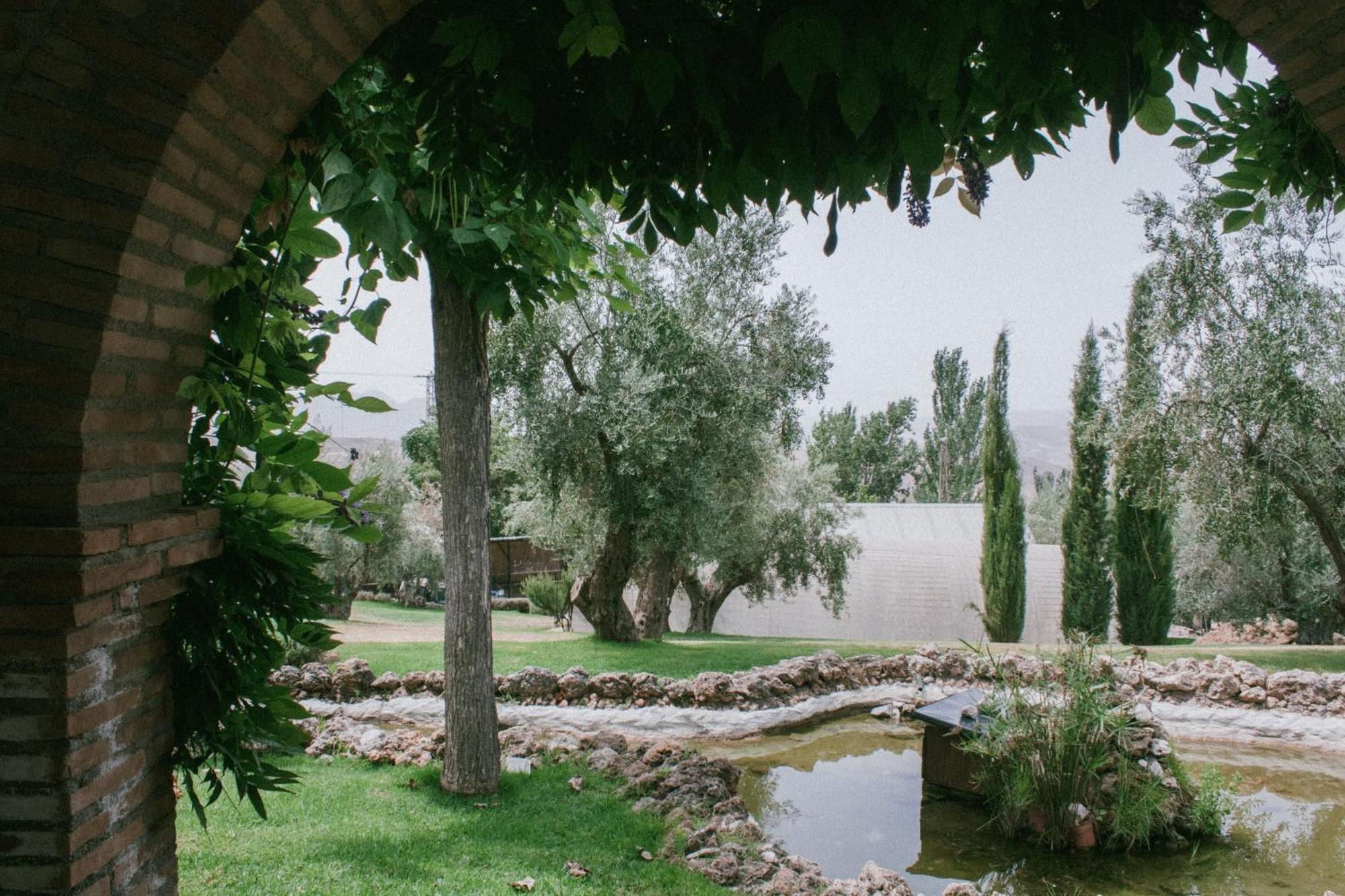 Hotel Rural Alqueria De Los Lentos Niguelas Bilik gambar